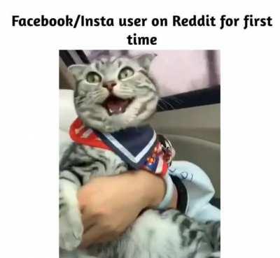 What a wonderful world!