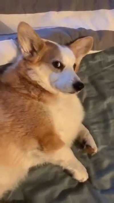 His walk time was changed 10am to 6am