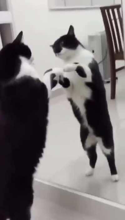 Unexpected catculation