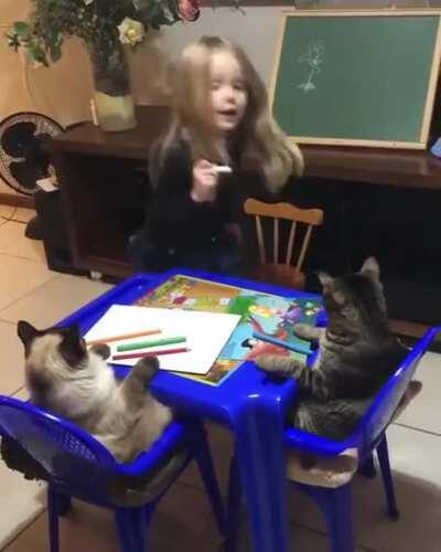 If being a student considered a job.