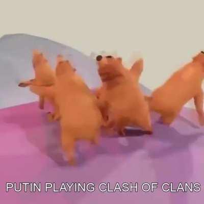 Revenge of the 🌈🐻s