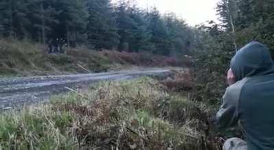 As no Wales Rally GB this year and probs for the foreseeable, here is a vid in memorium. F