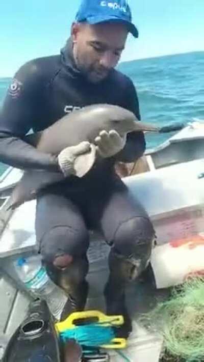 Guy kisses the dolphin goodbye then traps it in fishing net. Poor dolphin fights for life