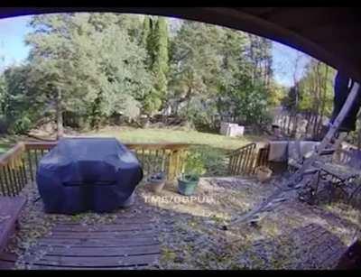 he trusted the ladder too much