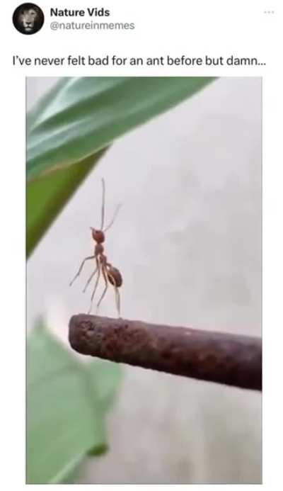 Me growing up with two younger sibs
