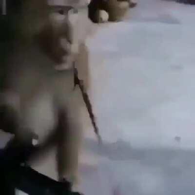 Vayan a ver mi nuevo cover, les encantará. El cover: