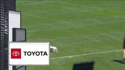 [Highlight] A good boy tries to play catch with Byron Buxton and Max Kepler