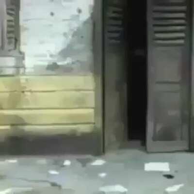 Que luta épica 👌👌