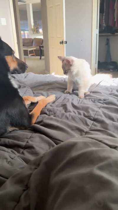 The slap that took 10 years