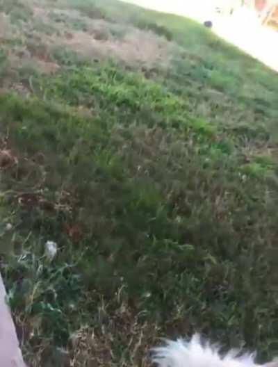 Is she a good girl still?