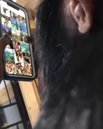 Chimpanzee casually browsing Instagram