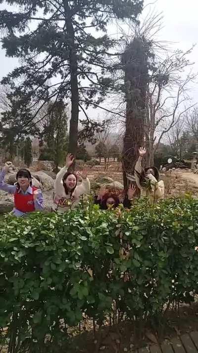 210527 TikTok Updates - TWICE 