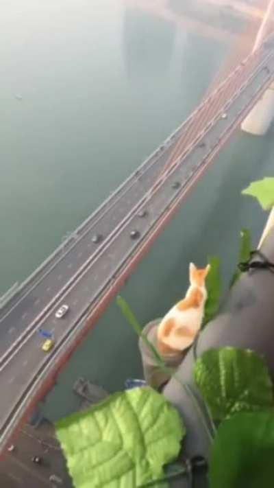 Thanks, i hate heights