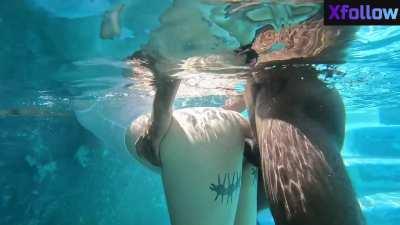 BBC Pool Swimming Pool Hardcore Underwear Doggystyle Standing Doggy doggy style Pornstar Back Arched Porn GIF by xfollow