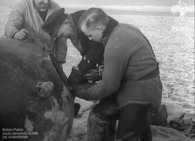 How to defuse a naval mine