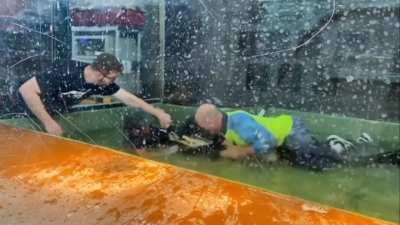 Alligator attacks keeper, bystanders jump in to help