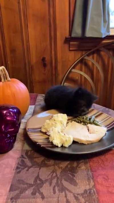 He made you Thanksgiving dinner, but you never showed up :(