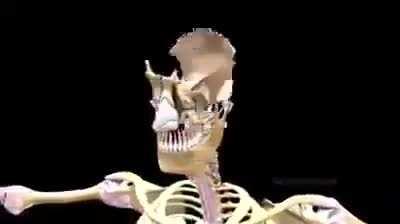 Matias troleando a los que donan