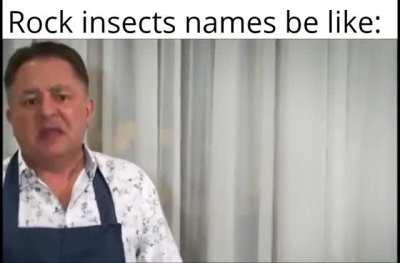 How many of these insects this guy has?