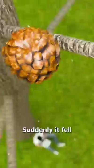 Why you should never sit under a pinecone tree.