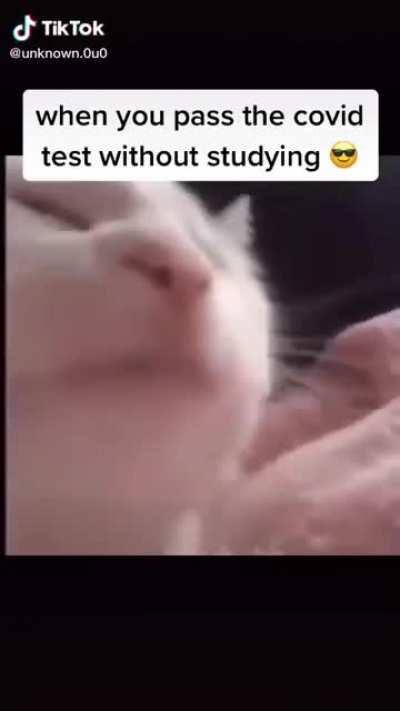 2020. What a year to be alive