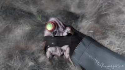 [SFM] Cool Snark Fact's