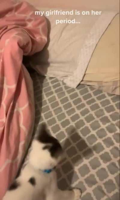 When it's that time of the month again