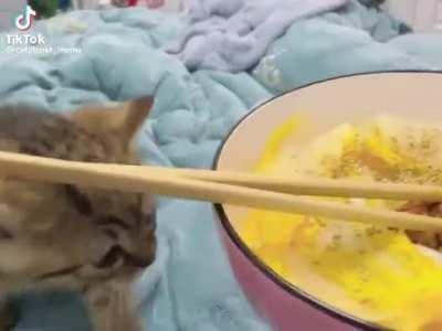 NYAAAAAAAAAAAAAAAAAAA