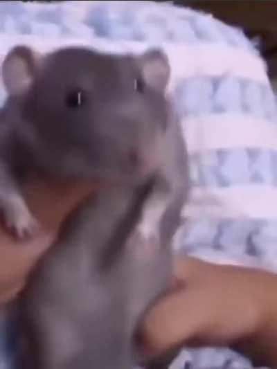 Got better moves than me