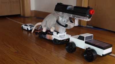 I Built a Rat with a Gat