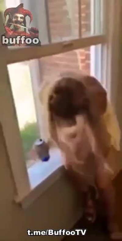 Oh nooooo.... Are you ok? 🙄