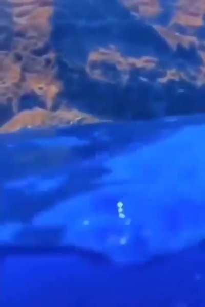 amiguinho 🥰🥰🥰