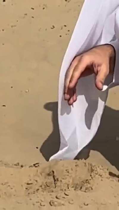 better heil hitler than heil spez 🤢🤢🤮🤮