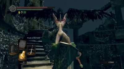 Crow demon sick of me farming his souvenirs used his ultimate move