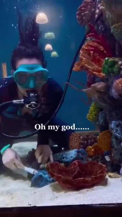 The Octopus just wants to play.