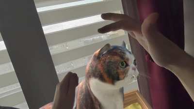 [Can You Hold It?] Should I add mouth animations?