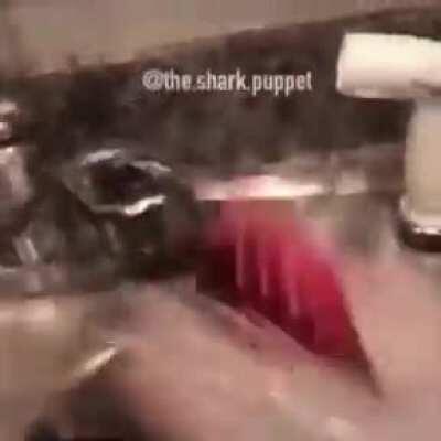 Members of the Akatsuki