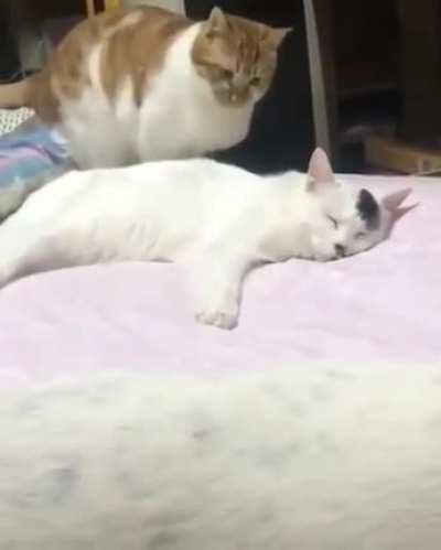 I'm awake and you are happily sleeping