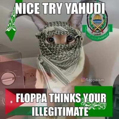 Damn right Floppa tell em 😤