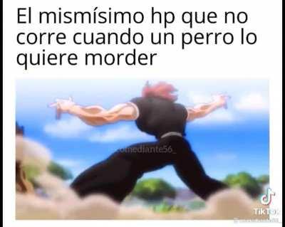 El vato que no le tiene miedo a los perros