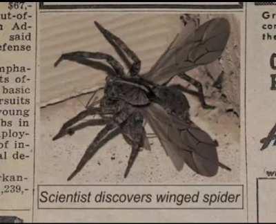 Como odio las arañas ptm