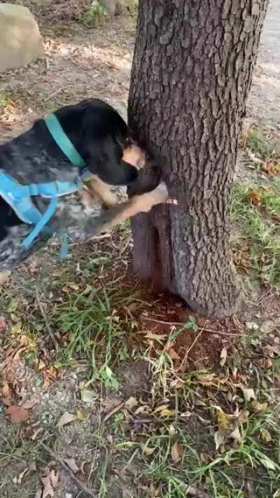 Certified Freak. Seven Days a Week.