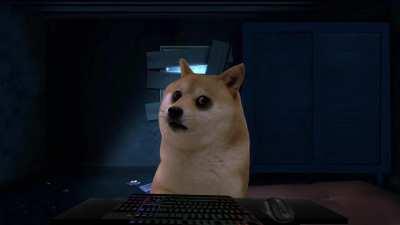 doge no happy