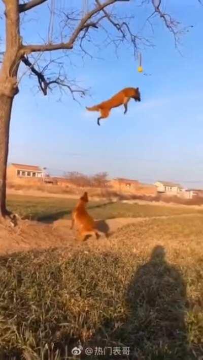 It at first you don't succeed.....