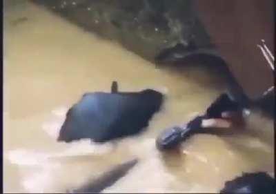 my claustrophobia would never 