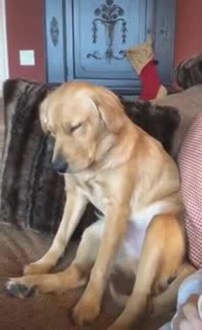 How I felt staying up last night for celebration.