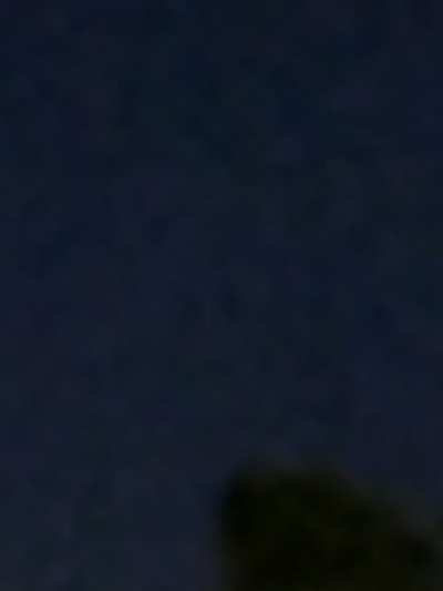 Just wanted to share a good shot I got of whatever these things are.