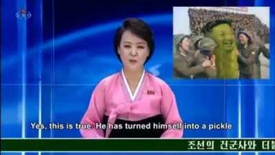 Funniest Shit I've ever seen