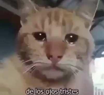 El muchacho de los ojos tristes :*(