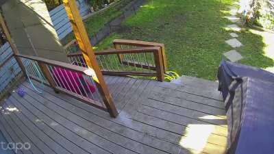 When you were having a great nap, and no time to ditch the blanket because it's lunch time!